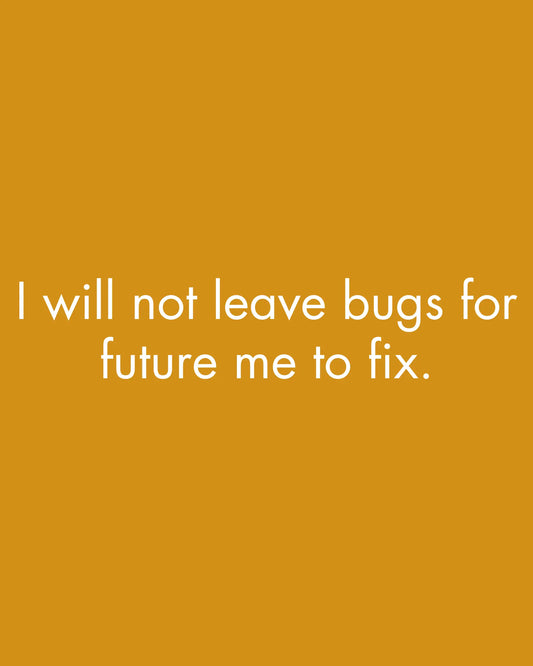 I will not leave bugs for future me - Sweatshirt for Developers DevHero India